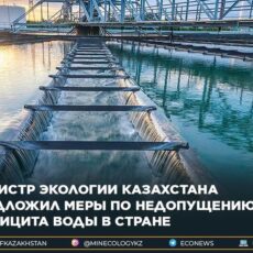 Площади под хлопком в Туркестанской области могут сократить