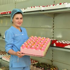 В Шымкенте гранты в размере 200 МРП получили 5000 горожан грант