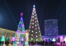 В Шымкенте зажгли главную новогоднюю елку елка
