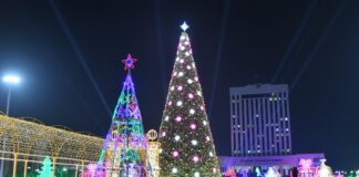 В Шымкенте 21 декабря зажгут главную новогоднюю ёлку елка