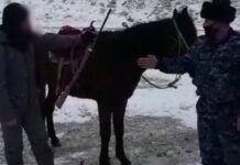 В Туркестанской области задержали в горах мужчину с оружием охотничье ружье