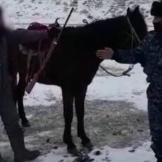 В Туркестанской области задержали в горах мужчину с оружием охотничье ружье
