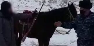 В Туркестанской области задержали в горах мужчину с оружием охотничье ружье