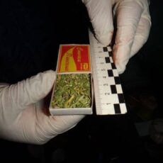 Автомойщика, торгующего марихуаной, приговорили к сроку марихуана