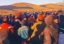 Очередной кокпар пытались провести жители Туркестанской области кокпар