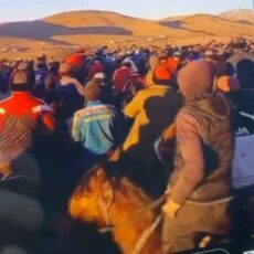 Очередной кокпар пытались провести жители Туркестанской области кокпар