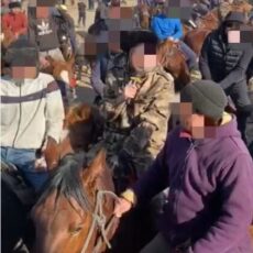 В Туркестанской области выявили два факта проведения «кокпара»