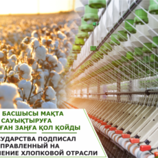 Глава государства подписал закон, направленный на оздоровление хлопковой отрасли хлопок