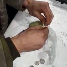 Туркестанские полицейские задержали жителя Алматинской области с гашишем гашиш