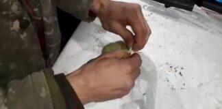 Туркестанские полицейские задержали жителя Алматинской области с гашишем гашиш