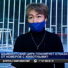 В Шымкентском цирке без животных в номерах будут выступать только на Наурыз