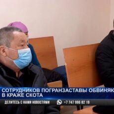 Пограничников судят за скотокрадство