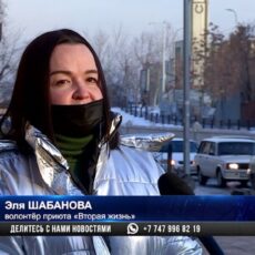 Собаке с особой жестокостью выжгли глаза в Шымкенте
