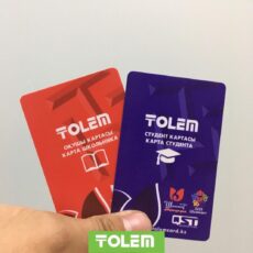 Как решить проблему общественного транспорта в Шымкенте? Толем