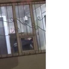 Потасовка двух полицейских: оба отстранены от должностей