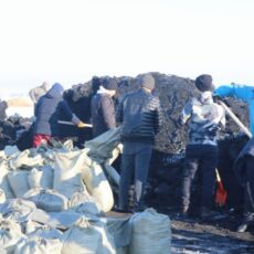 200 нуждающимся семьям Шымкента бесплатно раздали уголь уголь