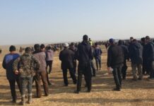 Организатора кокпара накажут в Туркестанской области кокпар