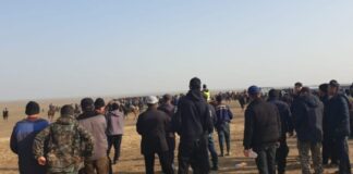 Организатора кокпара накажут в Туркестанской области кокпар