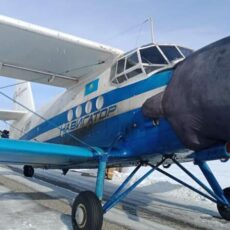 Вынужденную посадку совершил самолет Ан-2 выполнявший санитарный рейс самолет Ан-2