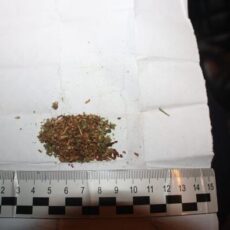 В Туркестанской области задержали жителя Шымкента со свертком марихуаны марихуана