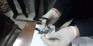 В Туркестанской области задержали подозреваемого в контрабанде наркотиков марихуана