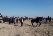 В Туркестанской области остановили кокпар с участием более 60 человек кокпар