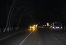 В Туркестанкой области задержали водителя, совершившего ДТП в пьяном виде ДТП