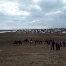 Кокпар с участием несовершеннолетних выявили в Сарыагашском районе