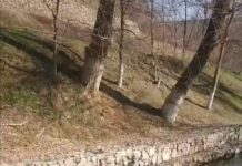 Пойдем купаться! В Шымкенте 14 февраля было +19