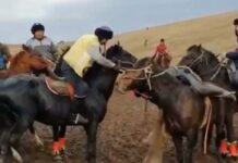 В Туркестанской области стражи порядка пресекли проведение очередного кокпара Кокпар
