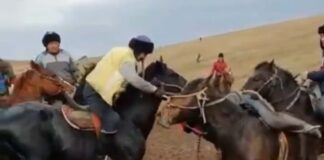 В Туркестанской области стражи порядка пресекли проведение очередного кокпара Кокпар