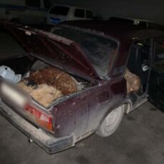 В Туркестанской области патрульные полицейские пресекли скотокрадство