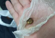 Четыре попытки перевозки наркотических веществ через границу пресекли пограничники