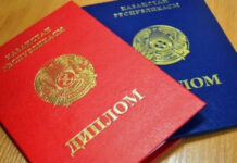 Диплом за миллион пытались продать в Туркестанской области дипломы