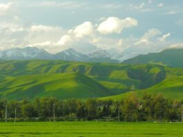 зеленый Казахстан