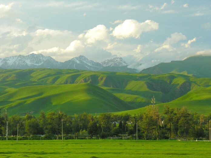 зеленый Казахстан