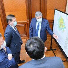 В Шымкенте разработают стратегию озеленения аким