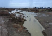 Департамент по чрезвычайным ситуациям Шымкента перешел на усиленный режим работы река