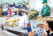 В Шымкенте растет число граждан, привлеченных к общественным работам «Еңбек»