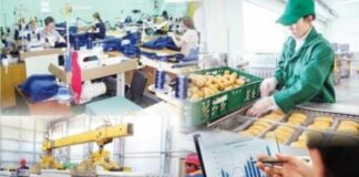 В Шымкенте растет число граждан, привлеченных к общественным работам «Еңбек»