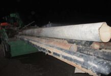 Сайрамские полицейские задержали похитителя труб труба