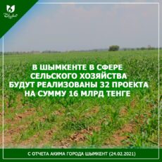У Шымкента есть все шансы стать центром по переработке агропродукции