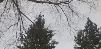 Фотографии Токаева с прогулки опубликовал пресс-секретарь президента