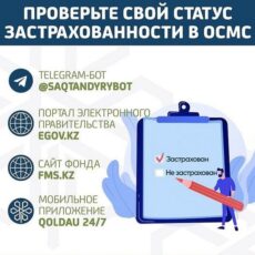 Как проверить статус в системе обязательного медицинского страхования ОСМС
