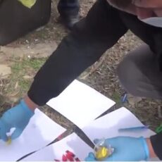 Закладчиков наркотиков задержали в Шымкенте наркотики