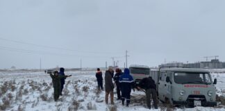 20 тысяч опор электропередачи повалил ветер в Туркестанской области ремонт