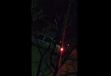 В Шымкенте украли девушку украли девушку