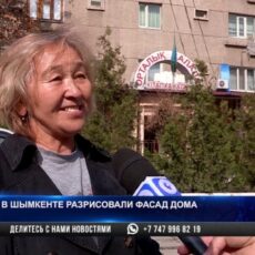 Книги украсили фасад дома в Шымкенте