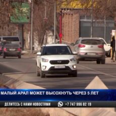 Малый Арал может исчезнуть через 5 лет
