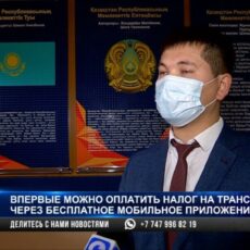 Житель Шымкента имеет 45 автомобилей и просрочку по налогам в 2,7 миллиона